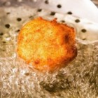 8 Things You Should Know About Deep Frying