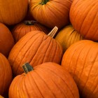 How To Pick The Perfect Pumpkin