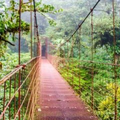 These Are the Best Countries for Travel Experiences These Are the Best Countries for Travel Experiences