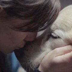 TV Commercials That Make Us Cry Every Time TV Commercials That Make Us Cry Every Time