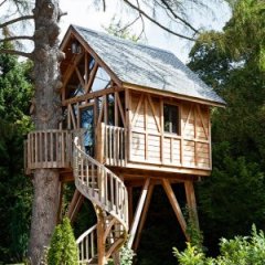 These Are the Most Incredible Tree Houses in the World These Are the Most Incredible Tree Houses in the World