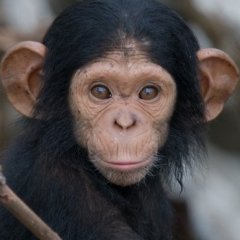 Insane Stories From People Who Lived With Animals Insane Stories From People Who Lived With Animals
