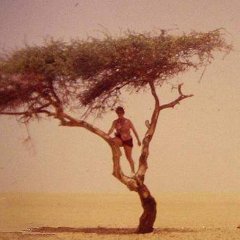 Incredible Natural Wonders Destroyed by Idiot Tourists