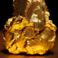 Bizarre Things That Happened During the Gold Rush