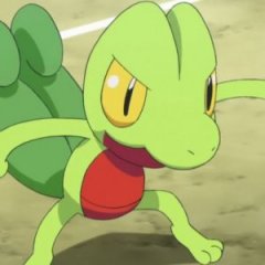 Every Starter Pokemon Ranked Worst to Best