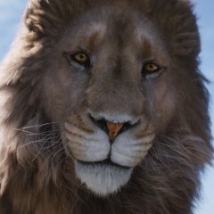 Netflix Announces New 'Chronicles of Narnia' Films and TV Shows