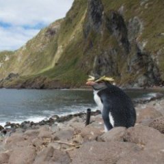 This Is the Most Remote Inhabited Island in the World This Is the Most Remote Inhabited Island in the World