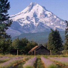 The Most Beautiful Little Mountain Towns Across America The Most Beautiful Little Mountain Towns Across America