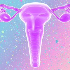 Everything You Need to Know About HPV and the Vaccine Everything You Need to Know About HPV and the Vaccine
