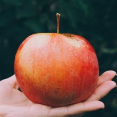 Exactly How Many Carbs Are in Some of Your Favorite Snacks