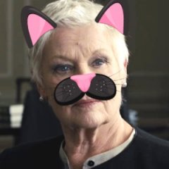 Judi Dench's Career Comes Full Circle With 'Cats' Casting