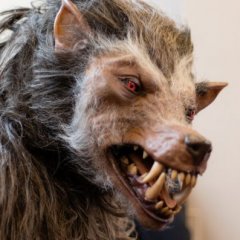 The Real Origins of These Mythical Monsters