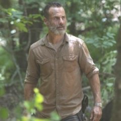 What Comes After in 'The Walking Dead' for Rick Grimes