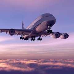 This Is the Busiest Airplane Route in America This Is the Busiest Airplane Route in America