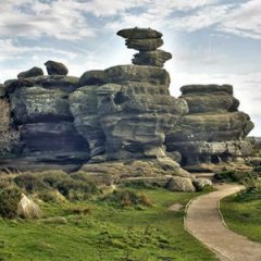 How Vandals Destroyed 320 Million Years of History in an Instant How Vandals Destroyed 320 Million Years of History in an Instant
