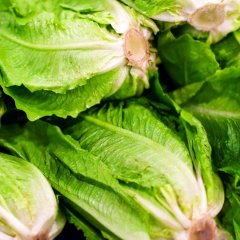 Citing E. Coli Outbreak, US Officials Say Don't Eat Romaine