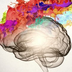 You Might Have the Most Common Form of Synesthesia