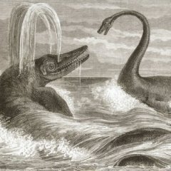 The 'Saurian Monster' That Terrorized 1880s New Zealand The 'Saurian Monster' That Terrorized 1880s New Zealand