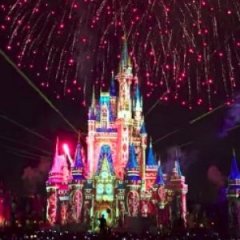 Disney Employees Reveal Bizarre Thing That Is Popular at Parks