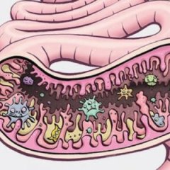 The Link Between Gut Bacteria And Kid Behavior Just Got Stronger