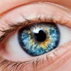 What Your Eye Color Says About Your Alcohol Tolerance What Your Eye Color Says About Your Alcohol Tolerance
