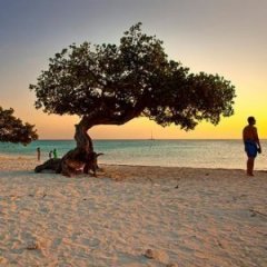 17 Best Winter Beach Vacations For Sun Seekers 17 Best Winter Beach Vacations For Sun Seekers