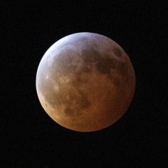 The Most Dazzling Photos Of Super Blood Wolf Moon The Most Dazzling Photos Of Super Blood Wolf Moon