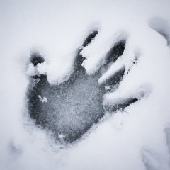 This Is What Happens When You're Freezing to Death This Is What Happens When You're Freezing to Death