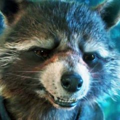 Real Life Rocket Raccoon From 'Guardians of the Galaxy' Has Died Real Life Rocket Raccoon From 'Guardians of the Galaxy' Has Died