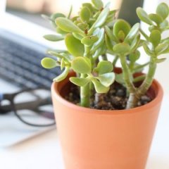 6 Little Things You Can Do Right Now for a Boost of Energy 6 Little Things You Can Do Right Now for a Boost of Energy