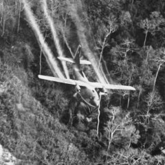 Vietnam Still Suffering Pollution From Agent Orange Byproducts Vietnam Still Suffering Pollution From Agent Orange Byproducts