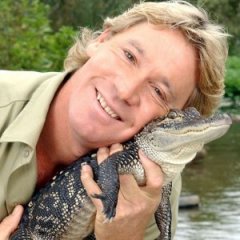5 Beautiful Life Lessons From Steve Irwin 5 Beautiful Life Lessons From Steve Irwin