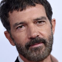 Why This Stud Spaniard is No Longer Living the High Life Why This Stud Spaniard is No Longer Living the High Life