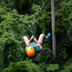 Canadian Tourist Dies in Thailand Zip Line Accident Canadian Tourist Dies in Thailand Zip Line Accident