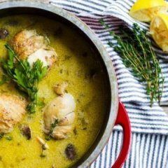 Delicious Homemade Chicken Fricassee Recipe Delicious Homemade Chicken Fricassee Recipe