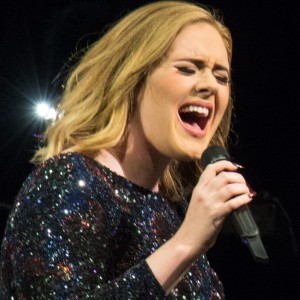 Adele Stops Concert To Call Out A Fan - ZergNet