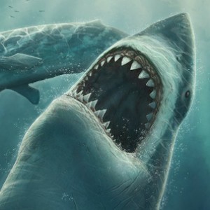 15 Real Facts About Megalodons - ZergNet