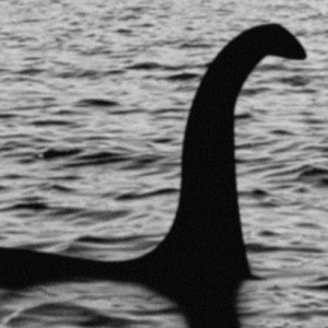 Nessie Sightings Increased in 2016