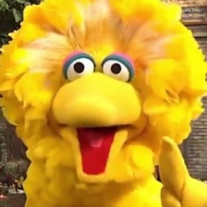 11 Moments on 'Sesame Street' That Championed Diversity - ZergNet