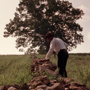 'Shawshank Redemption' Tree Comes Down
