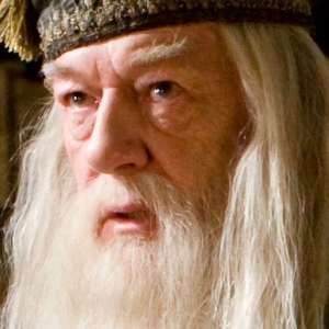 Young Dumbledore Just Got Cast - ZergNet