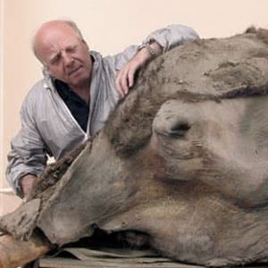 6 Extinct Animals That Could Be Brought Back to Life