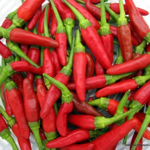 8 of the Spiciest Foods on the Planet