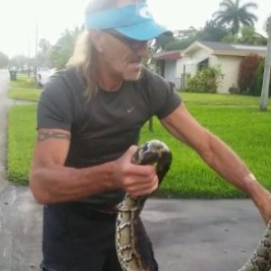 Man Wrestles Massive Python to Protect His Dog
