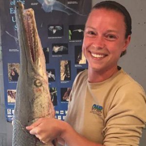 Rare Alligator Gar Caught in Indiana