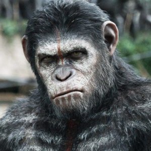 'War for the Planet of the Apes' Is Spectacular