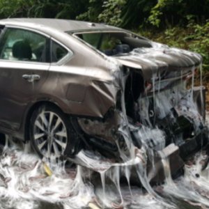 Thousands Of Slime Eels Spill Onto Oregon Highway