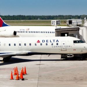 Delta Connection Pilot Gets in Fight With Flight Attendant