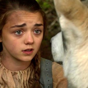 Arya's Direwolf Nymeria May Play A Big Role in 'GoT' - ZergNet