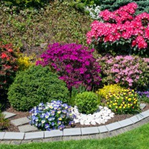 Landscaping Tricks That Can Save You Money